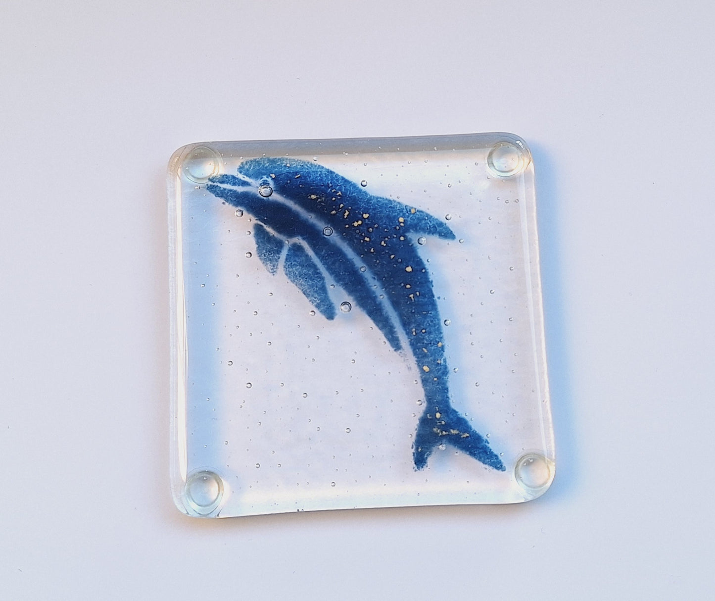 Coasters with Blue Caribbean Dolphin
